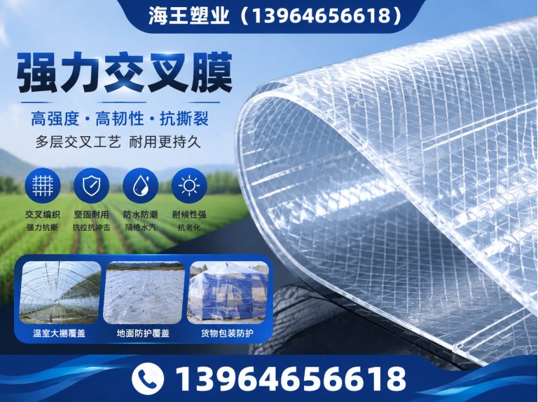 寿光市离型膜展示图